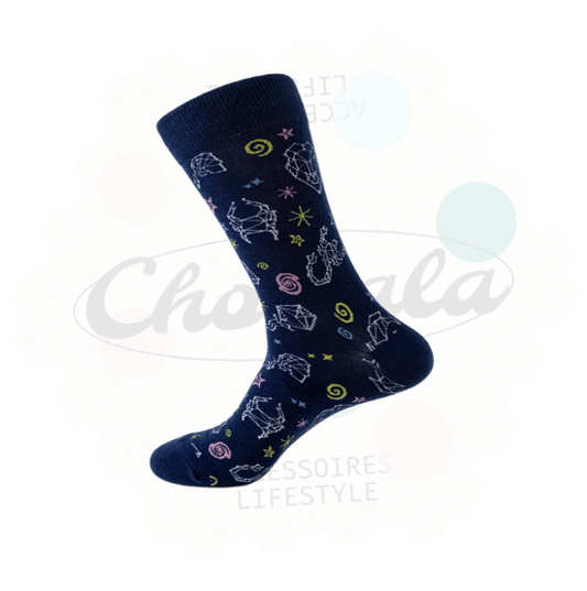 Zodiac Signs Novelty Socks